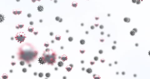 Virus Cells Animation on White Background