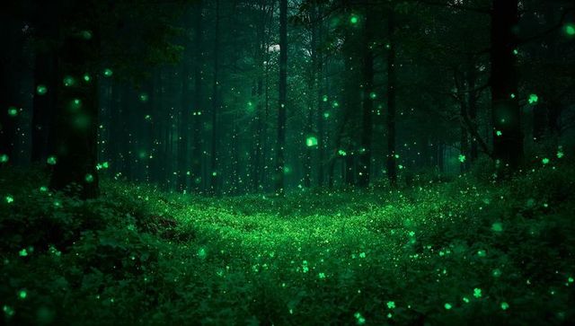 Bioluminescent Mossy Forest Glade Glowing Emerald Orbs Floating Through Misty Night