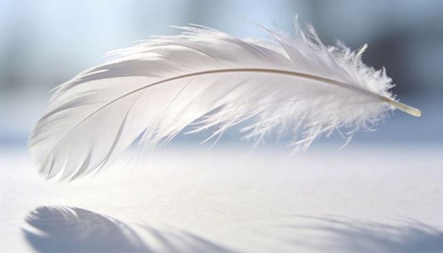 White feather floating above snow minimal closeup with soft shadow, bokeh and texture