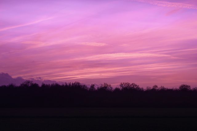 Majestic Twilight Colors in Purple Sky over Serene Forest Landscape - Download Free Stock Photos Pikwizard.com