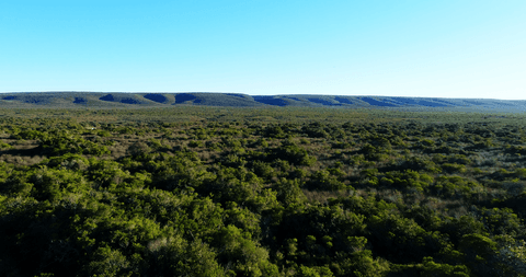 breathtaking transparent landscape with verdant grasslands - Download Free Stock Videos Pikwizard.com