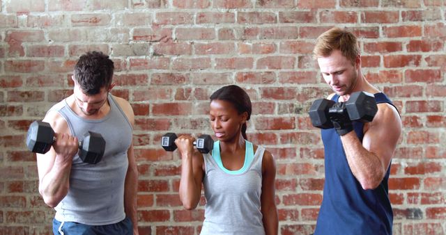 Diverse Group Lifting Dumbbells During Workout - Download Free Stock Images Pikwizard.com