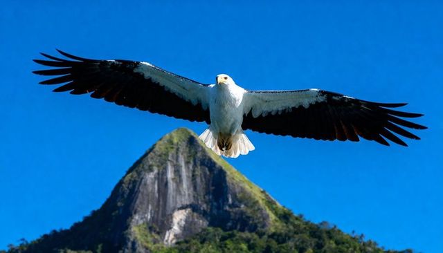 Soaring white-headed raptor gliding over steep mountain peak against blue sky