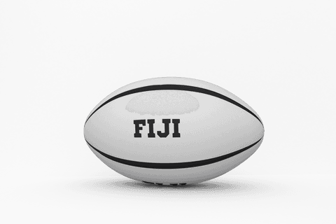 Fiji rugby ball illustration on transparent background