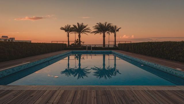 Rooftop pool reflecting palm trees at sunset with ocean horizon and mosaic tiles