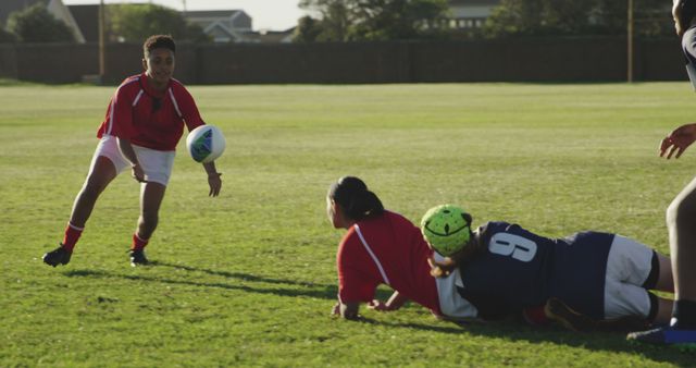 Rugby players competing on sunny field during match - Download Free Stock Images Pikwizard.com