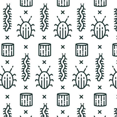 seamless vector bug pattern on transparent background - Download Free Stock Videos Pikwizard.com