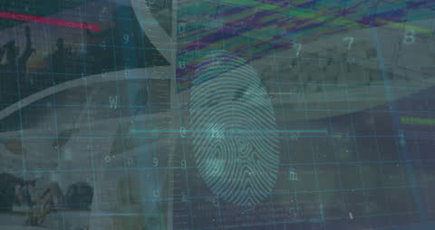 Digital Fingerprint Identification with Data Overlay