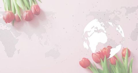 Pastel pink global tulip composition with white globe silhouette and halftone map