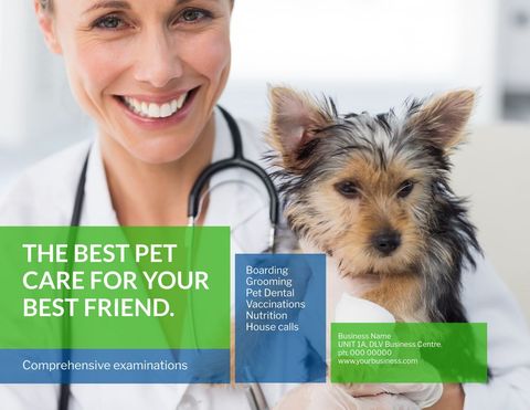 smiling veterinarian holding a dog promoting pet care - Download Free Stock Templates Pikwizard.com