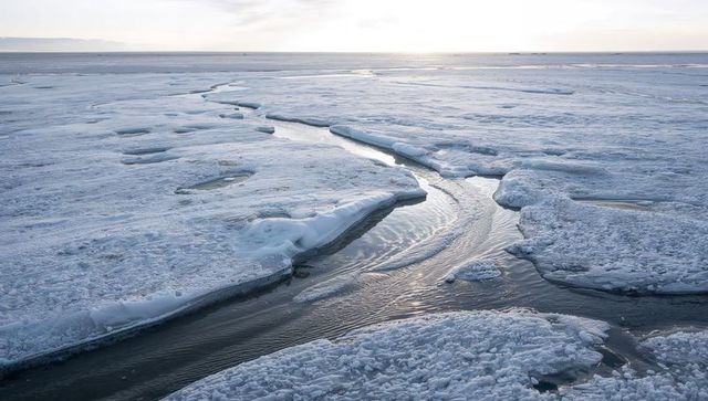 Meandering meltwater channel carving through arctic sea ice under soft horizon light
