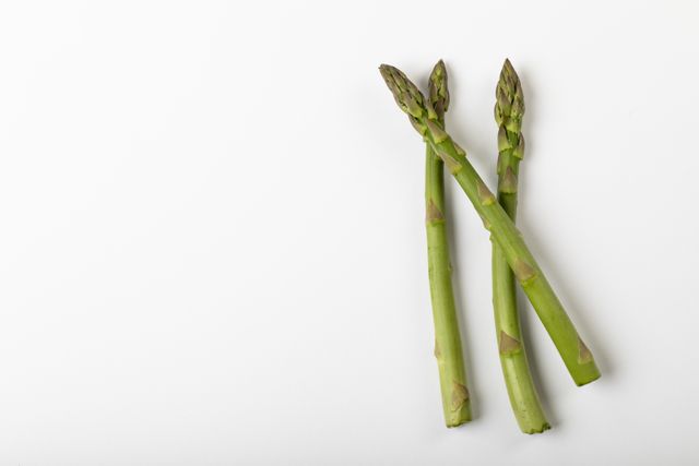 Three fresh asparagus spears laid out on a white background. Ideal for use in advertisements for healthy eating, organic food, diet plans, recipe illustrations, cooking blogs, or nutritional guides. The minimalist presentation with ample copy space makes it suitable for promotional materials or websites focusing on healthy and organic food.