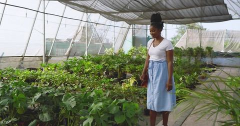 Woman exploring lush plant nursery with variety of greenery