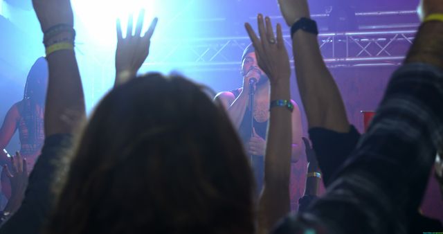 Crowd Enjoying Live Music Concert with Lights - Download Free Stock Images Pikwizard.com