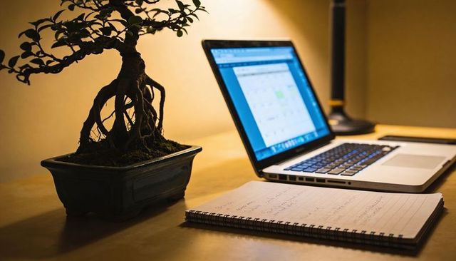 Cozy evening workspace with bonsai, laptop displaying spreadsheet, notebook and lamp glow