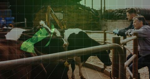 Farm workers observing dairy cows at equipment barnyard