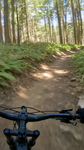 First-person mountain biking up sunlit forest singletrack on handlebars POV