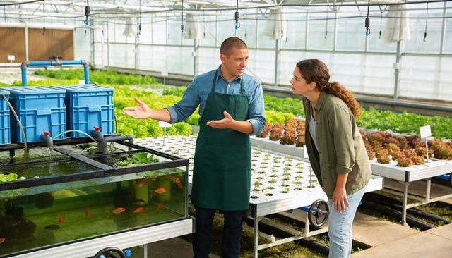 Grower explaining aquaponic system with fish tanks and lettuce in modern greenhouse