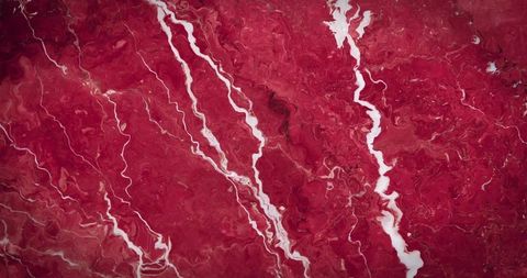 Satellite View of Meandering Red-Toned Vegetation and River Channels