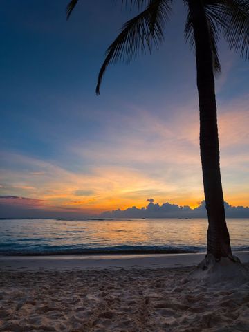 Serene Tropical Sunrise with Palm Tree Silhouette