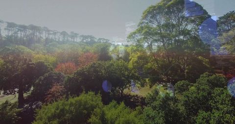 Aerial view revealing sunlit urban park canopy with lens flare and window reflection