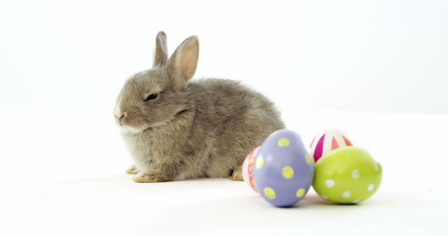 Cute baby bunny sitting near brightly colored Easter eggs on white background. Perfect for Easter and spring-themed marketing, greeting cards, festive social media posts, or childhood and pet-related content.