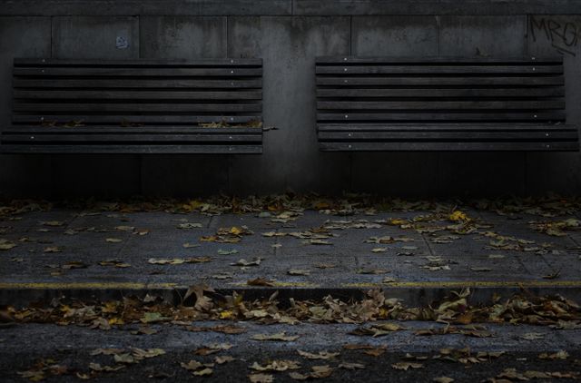 This image depicts two empty benches with fallen leaves covering the ground, hinting at autumn. Ideal for illustrating themes of tranquility, solitude, and autumn season. Can be used in blogs, websites related to nature, seasonal changes, parks, or creating peaceful, reflective atmospheres.