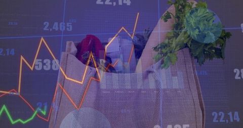 Eco-Friendly Grocery Bag Overlay Market Data Graph