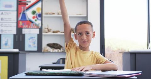 Eager Student Raising Hand in Classroom for Participation