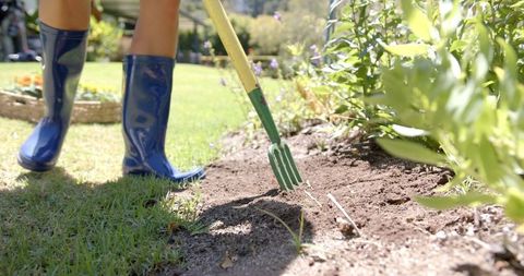 Gardener using fork tool in vegetable garden