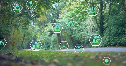 Eco-Friendly Icons Overlay in Park Environment