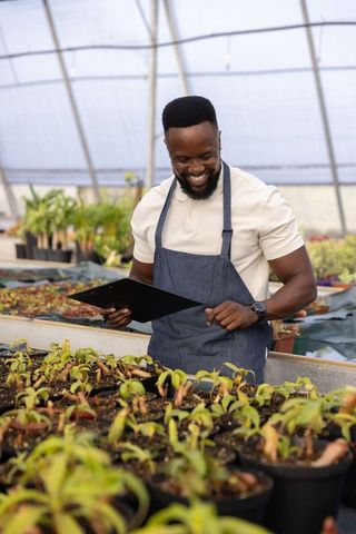 African american gardener checking seedlings in greenhouse with clipboard and denim apron