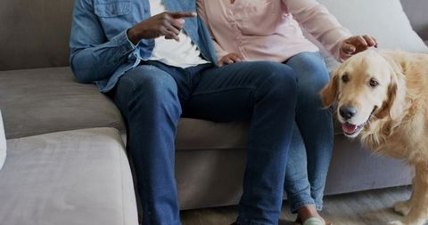 Couple sitting on gray couch petting golden retriever, casual cozy livingroom family moment
