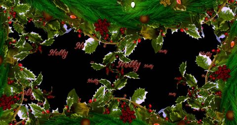 Festive Holly and Christmas Wreath on Black Background