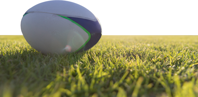 Rugby Ball on Grass with Transparent Background for Sports Design - Download Free Stock Videos Pikwizard.com