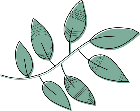 curved branch with green hatch lined leaves on transparent background - Download Free Stock Videos Pikwizard.com