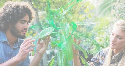 Young adults examining large-leaf plant together in sunlit garden for gardening teamwork