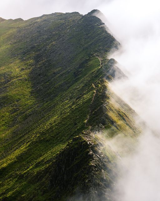 Fog obscuring mountain ridge under sunlight highlights natural beauty and serenity of wilderness. Ideal for travel blogs, nature documentaries, hiking enthusiasts, and environmental campaigns.