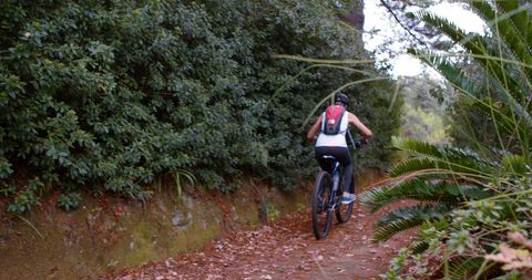 Woman Mountain Biking on Forest Trail with Greenery - Download Free Stock Images Pikwizard.com