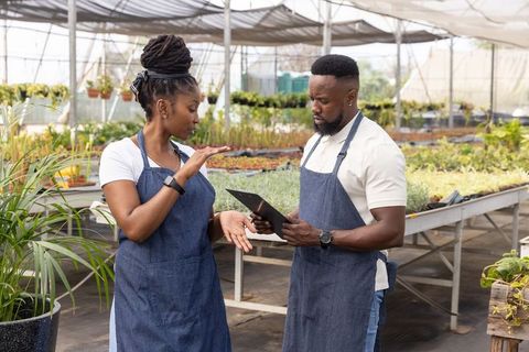 African american nursery staff wearing denim aprons discussing inventory with tablet in greenhouse