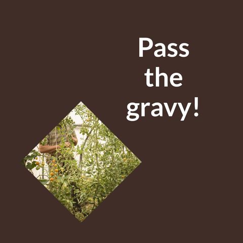 Thanksgiving gravy message with garden tomato theme