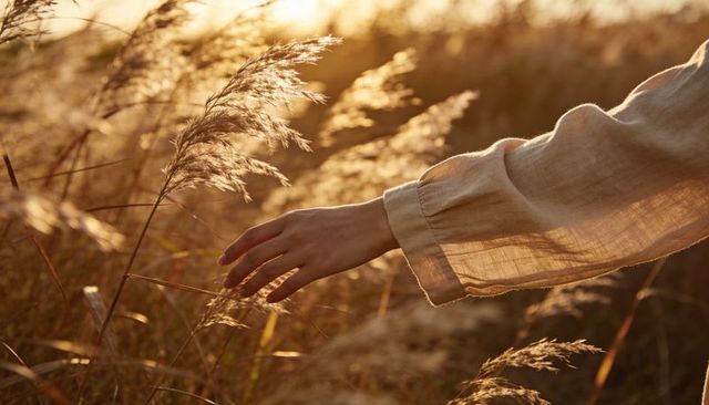 Reaching hand brushing through golden meadow at warm sunset with linen sleeve touch