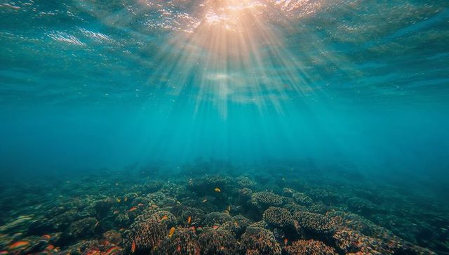 Sunbeams streaming through turquoise water over shallow tropical coral reef teeming with reef fish