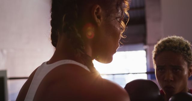 Two Focused Boxers Preparing for Match in Gym Backlit by Sunlight - Download Free Stock Images Pikwizard.com