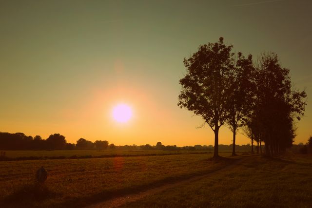 Sun setting over a tranquil rural landscape featuring a tree-lined path and open fields. This serene scene evokes a feeling of peace and natural beauty, perfect for use in designs focused on nature, relaxation, and outdoor activities. Suitable for backgrounds, promotional materials, travel blogs, and nature-themed projects.
