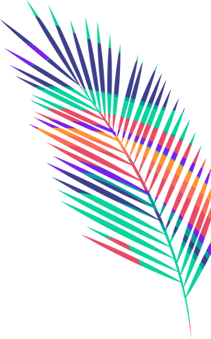 Colorful Palm Frond Art on Transparent Background - Download Free Stock Videos Pikwizard.com