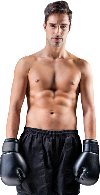 Caucasian Male Boxer with Boxing Gloves on Transparent Background - Download Free Stock Videos Pikwizard.com