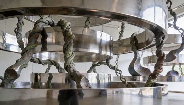 Suspending Polished Steel Rings with Braided Bronze Vines in Contemporary Gallery