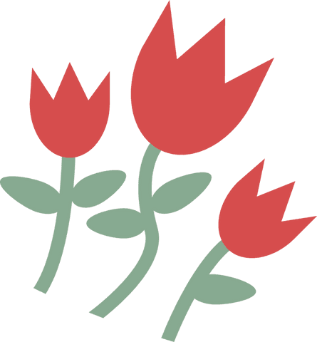 Transparent modern tulip trio on green stems in minimalist style design