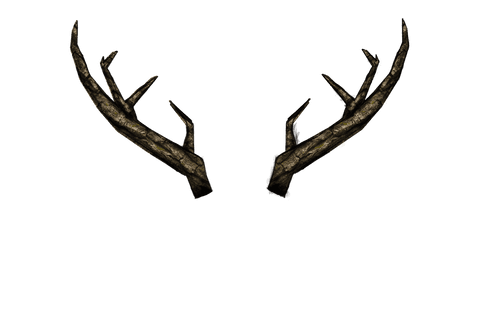 Realistic 3D Deer Antlers on Transparent Background for Design